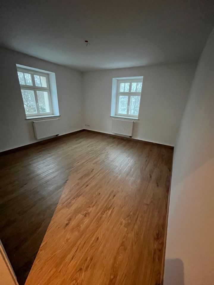 Rarität 5 Raum Erdgeschoß Wohnung hochwertig saniert, mit großem Balkon und Blick über den Tierpark in Freiberg