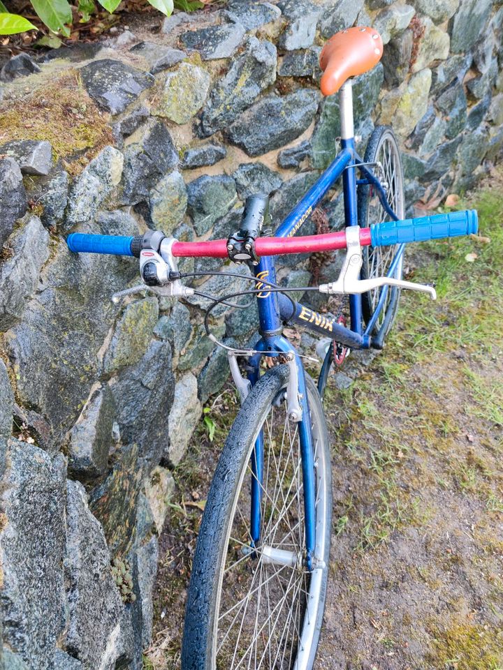 Herrenfahrrad "Manacor" von Enik in Mainz