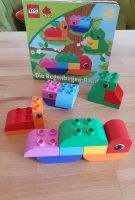 Lego Duplo Set Die Regenbogenraupe mit Buch Dresden - Südvorstadt-Ost Vorschau