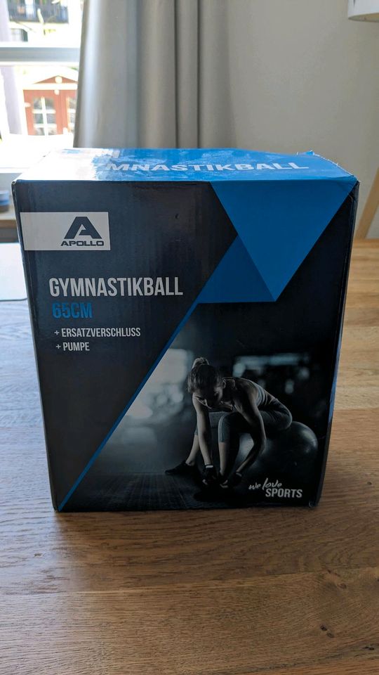 Gymnastikball Fitnessball 65 cm grau NEU OVP in Bad Tölz