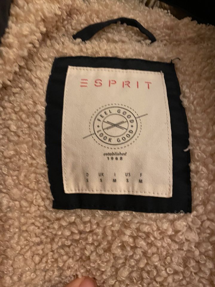 Esprit Winterjacke in Ingolstadt