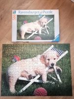 Ravensburger Puzzle 500 Teile Hund Hessen - Biebergemünd Vorschau