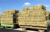 Heuballen Quaderballen Heu Bayern - Windsbach Vorschau