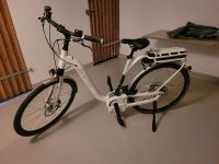 Zemo ZE-8 Elektrofahrrad mit einer Rahmenhöhe 55cm Sachsen - Freital Vorschau