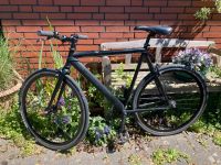 Single Speed Fahrrad / Ball Fahrrad / Kunst Rad Niedersachsen - Holtland Vorschau