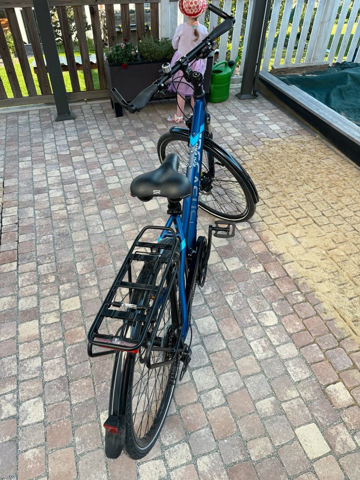 Pegasus Solero SL Disc Damen Fahrrad 28“ in Puschendorf