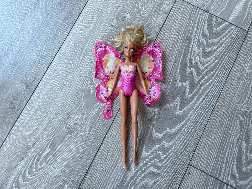 Barbie Puppen Fee und Prinzessin 5 St. + Zubehör in Hamburg