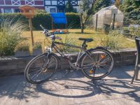 Fahrrad, 28'', Niagara Laser C5, Trekking Bayern - Lichtenfels Vorschau