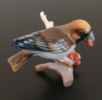 Hutschenreuther Porzellan Figur Kernbeißer ca.5 cm Vogel Rheinland-Pfalz - Gönnheim Vorschau