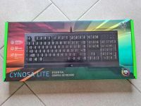 Gaming-Tastatur RAZER -Neu OVP Baden-Württemberg - Neckartenzlingen Vorschau