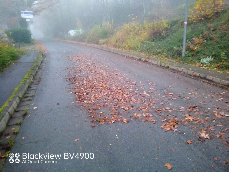 Straßenreinigung , Baustellen , Parkplatz ,Blätter Laub in Prüm