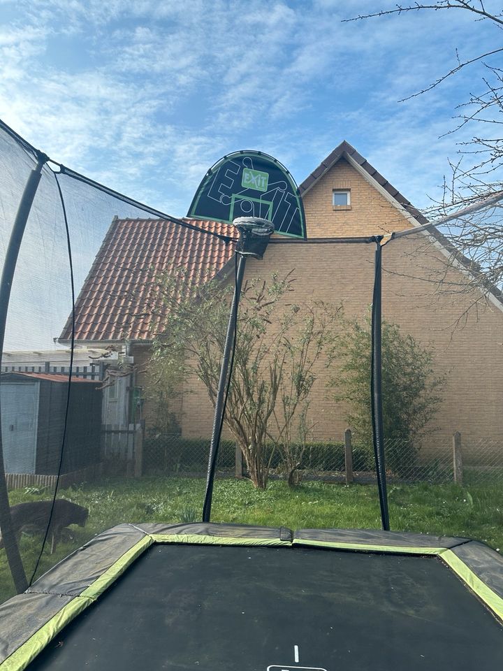 Exit Toys Trampolin mit Schutz und Basketballkorb in Hermannsburg