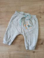 Baby Jogginghose sweat 62 grau unisex Bayern - Monheim Vorschau