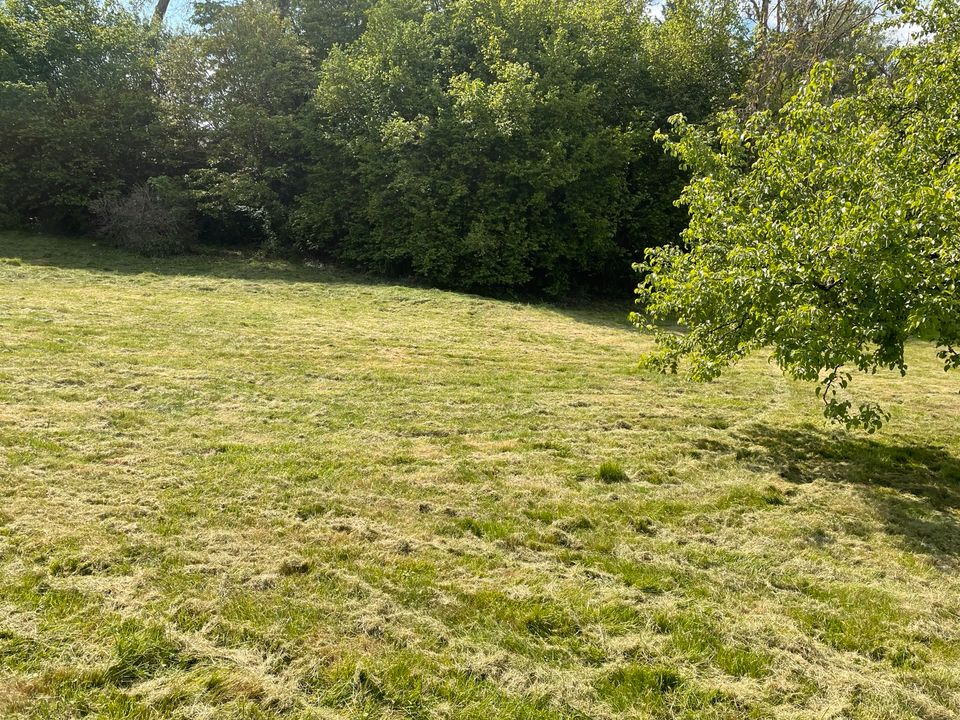 Grundstück erschlossen in Bad Arolsen