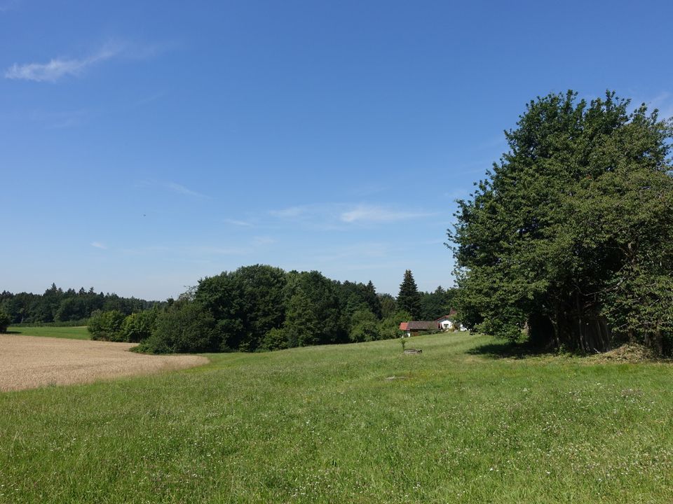 Älteres Anwesen m. ca. 5.000 m2 Grund in Alleinlage nur ca. 3 km v. Deggendorf/Metten in Metten