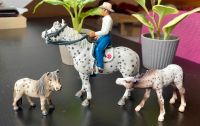 Knabstupper mit Reiter, Sätteln und Fohlen - Schleich Lüneburger Heide - Neuenkirchen Vorschau