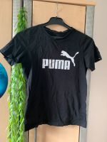 Jungen T- Shirt Schwarz Größe 158 Puma gebraucht Nordrhein-Westfalen - Emsdetten Vorschau