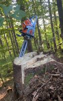 Heckenschnitt Bäume&Sträucher stutzen Bayern - Kaufering Vorschau
