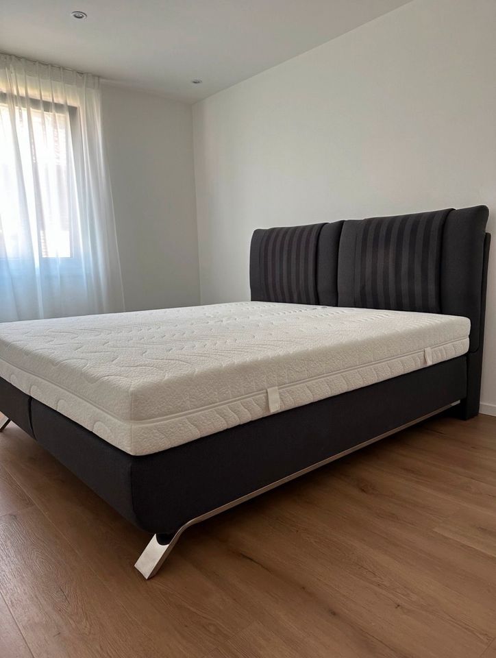 Boxspringbett/Bett in Paderborn