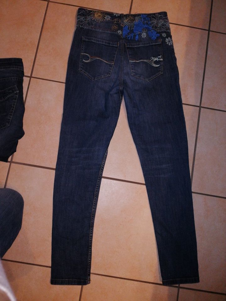 Damen Jeans Hose Buena Vista Desigual Gr.S blümchenstickerei in Gladbeck