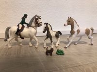 Schleich Set mit zwei Pferden Fohlen Reiterin und Zubehör (7) Niedersachsen - Faßberg Vorschau