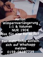 Wimpernverlängerung Schulung Angebot NUR bis Oktober! Hessen - Riedstadt Vorschau