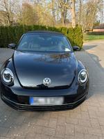 Volkswagen Beetle 1.4 TSI Design Cabriolet Design Niedersachsen - Otter Vorschau