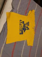 Shirt Championsleaugue Final Four Rhein-Neckar-Löwen 2011 Handbal Nordrhein-Westfalen - Neukirchen-Vluyn Vorschau