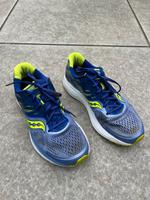 Saucony Ride 10 Lila Lime Damenschuhe Düsseldorf - Benrath Vorschau