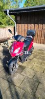 Kymco Roller 25kmh Schleswig-Holstein - Tetenhusen Vorschau