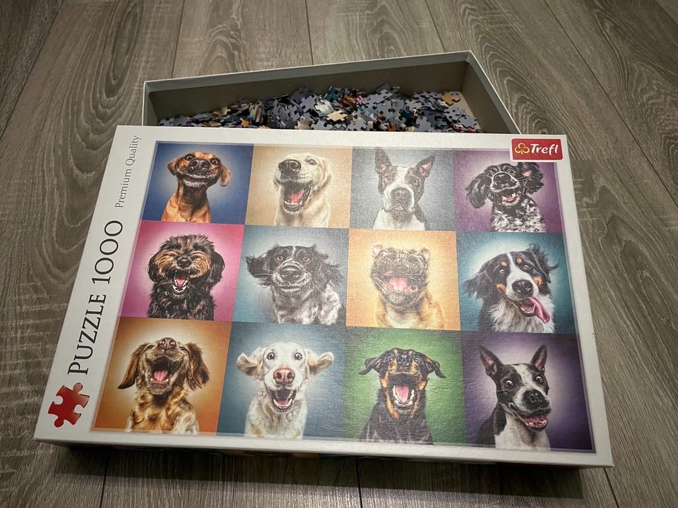 Puzzle 1000 Teile Hunde in Cloppenburg