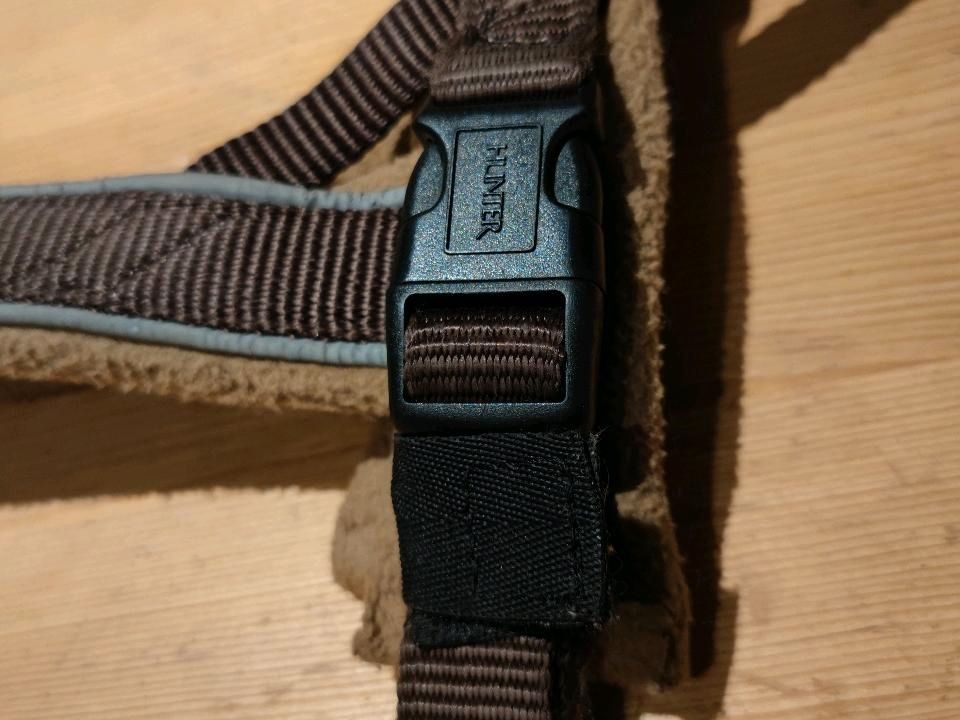 Hunter Norwegergeschirr XL, S in Lederhose