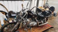 VN 15 SE Schlachtfest Ersatzteile Kawasaki VNT50 A Bobber Chopper Niedersachsen - Osnabrück Vorschau