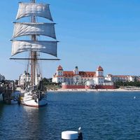 Handwerker, Tockenbauer, Zimmerer, Allrounder Insel Rügen Rügen - Ostseebad Binz Vorschau