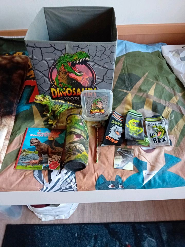 Dinosaurier Packet Geburtstag/Einschulung in Wildeshausen