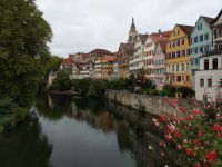 Mietwohnung in Tübingen gesucht Baden-Württemberg - Tübingen Vorschau