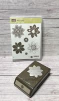 Stampin‘ Up! Stempelset + Handstanze Petal Potpourri Nordrhein-Westfalen - Lüdinghausen Vorschau