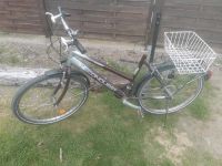 Fahrrad 26 Zoll Sachsen - Wülknitz Vorschau