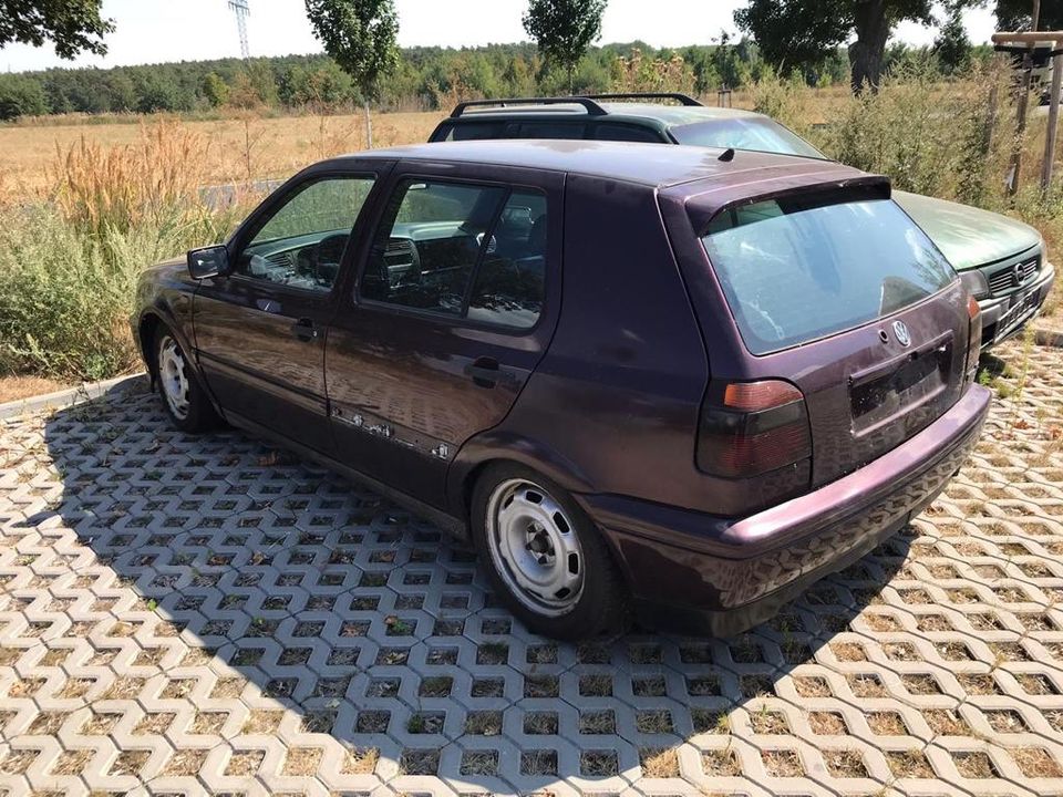 Schlachte VW Golf 3 Vr6 Highline Brombeere in Berlin