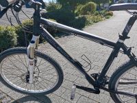 Fahrrad cycle wolf Hessen - Haiger Vorschau