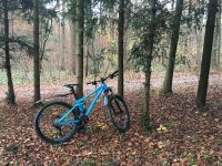 Cube sting WLS Fahrrad Fully MTB Hessen - Bad Soden am Taunus Vorschau
