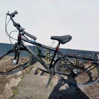 Herren Trekkingbike Pegasus Solero 8 Häfen - Bremerhaven Vorschau