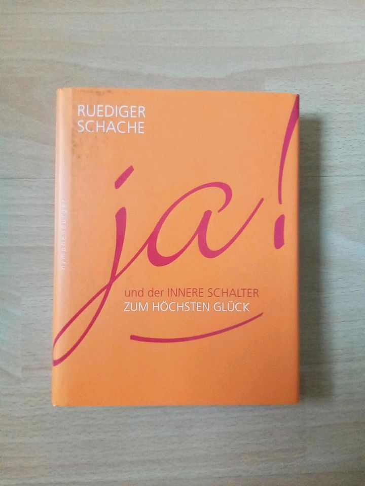 Ruediger Schwache, 7 Schleicher vor der Wahrheit+ Ja! in Wennigsen