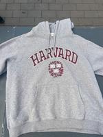Harvard Hoddie Hessen - Ober-Mörlen Vorschau