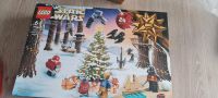 Lego Starwars  Kalender Rheinland-Pfalz - Neuwied Vorschau