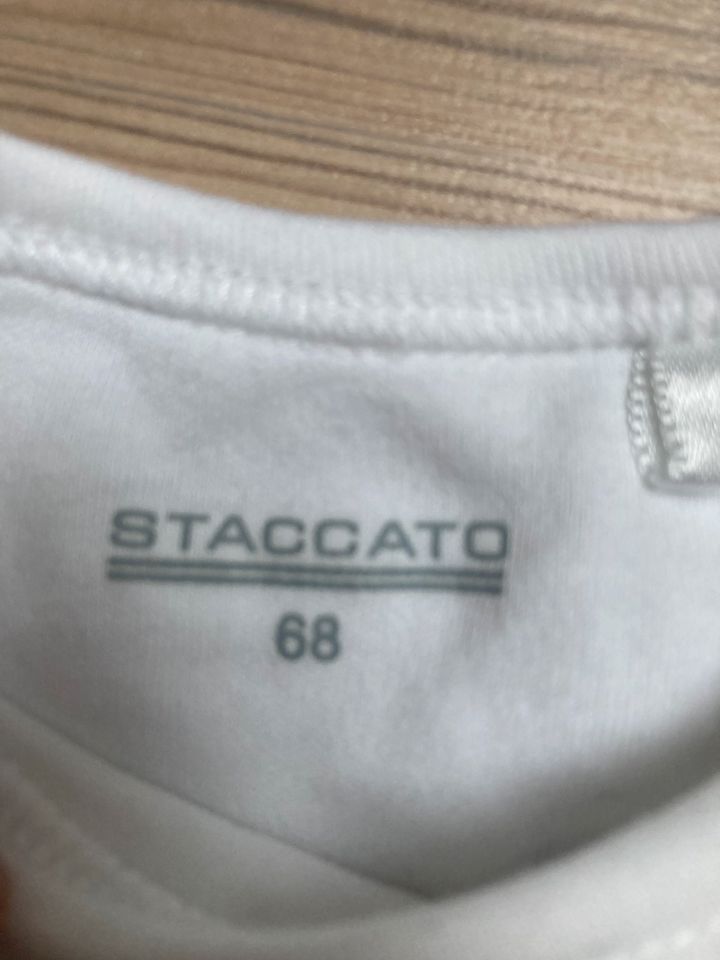 Staccato Trikot Gr. 68 Fußball Set T-Shirt kurze Hose Sommer Baby in Drolshagen