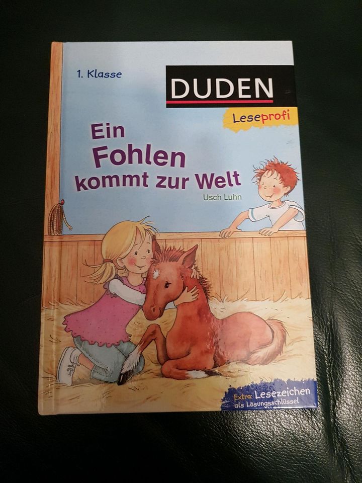 Ein Fohlen kommt zur Welt, Duden, 1. Klasse in Höhbeck