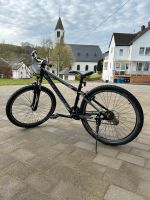 Jugendfahrrad bergamont Rheinland-Pfalz - Hallschlag Vorschau