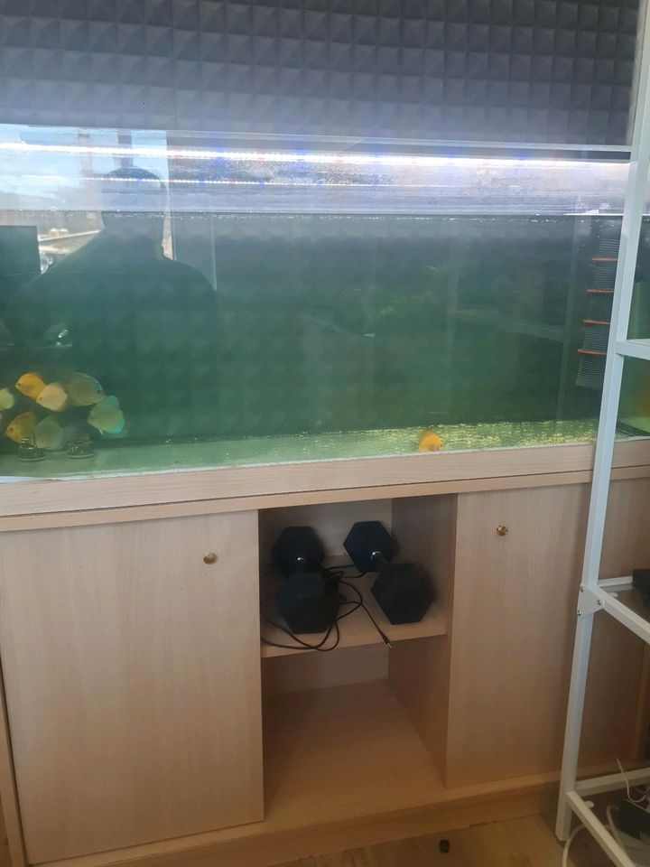 Aquarium ,filter, uvc l,ed licht, unter schrank in Hannover