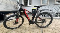 E  bike Conway unisex Baden-Württemberg - Neuenburg am Rhein Vorschau